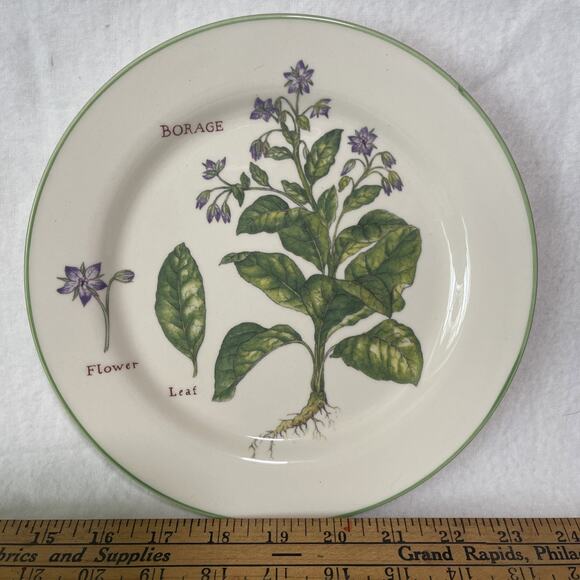 Williams And Sonoma Borage Culinary Herbs Salad plate 8.75" - Picture 1 of 4